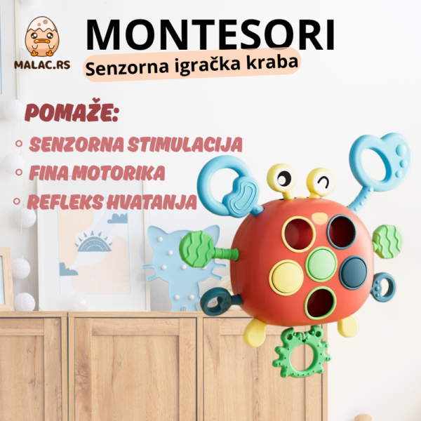 Montesori senzorna igračka kraba - Image 2